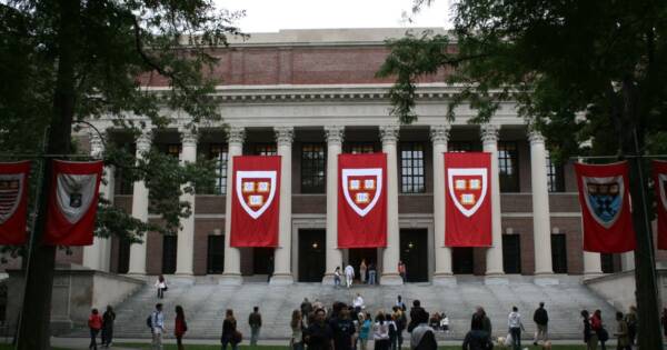 COLLEGE DECAY: Liberals Can’t Fix Stupid | Steve Berman