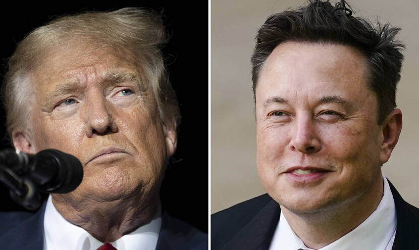 ELON MUSK: ‘Trump Must Win to Preserve Freedom’
