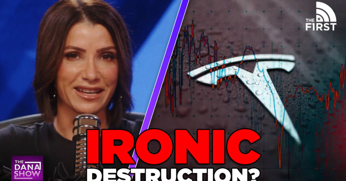 Tesla Insanity Crazy Leftists Are Ironically DESTROYING Tesla’s Over Elon Musk – The ...